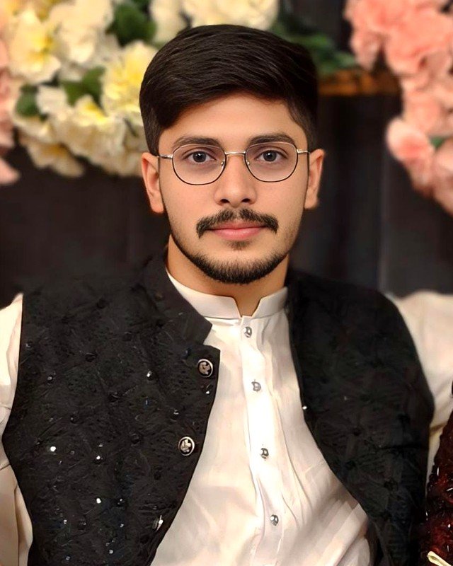 Ali Hassan - Software Engineer, Full Stack Web Developer at Vier Solutions